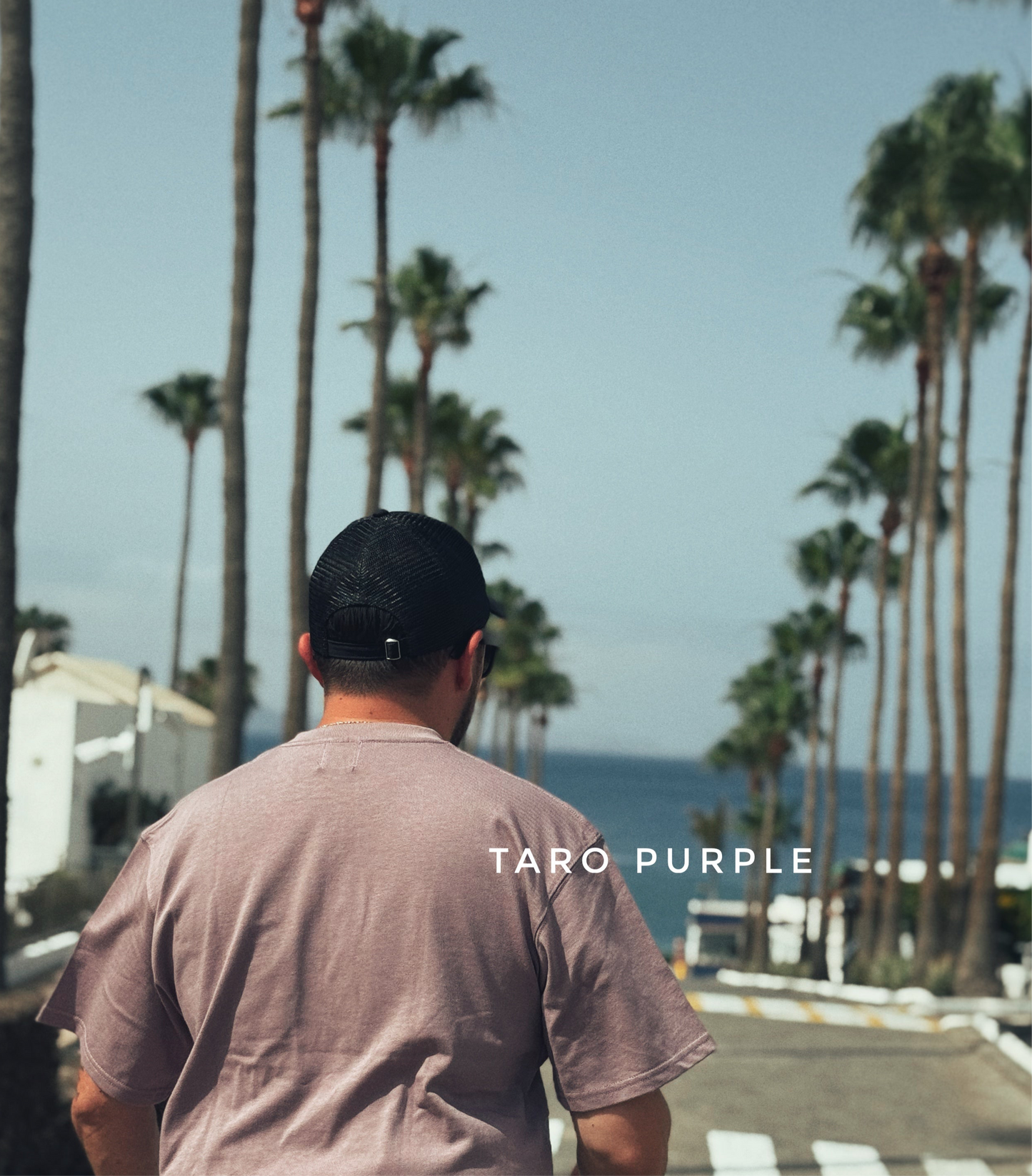 CLASSIC TARO PURPLE