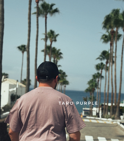 CLASSIC TARO PURPLE